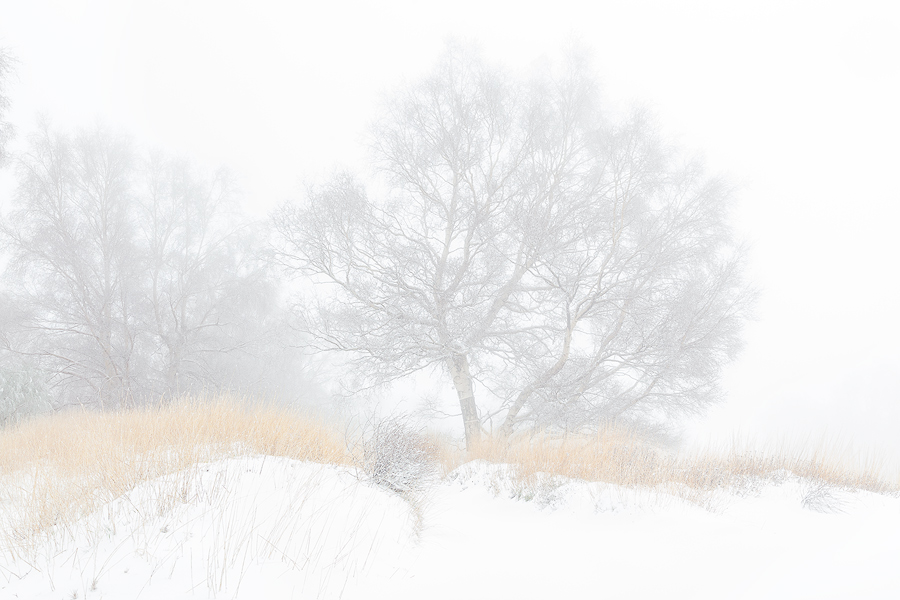 Between fog and snow