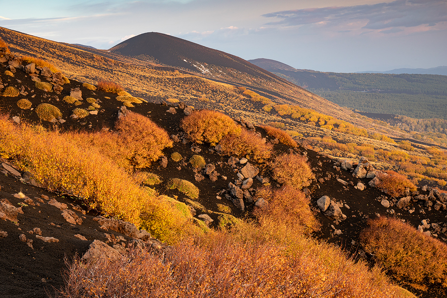 Autumn colors