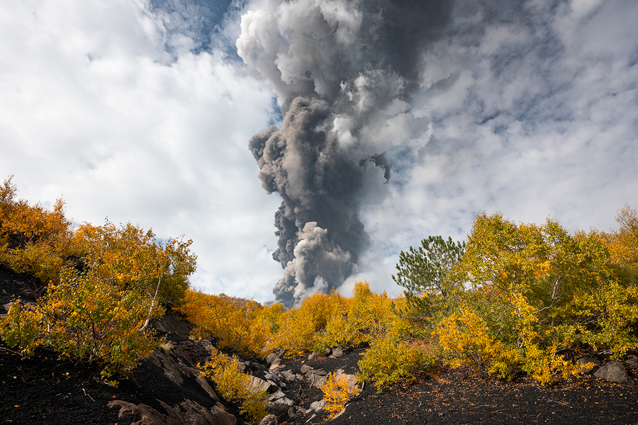 Foliage and paroxysm