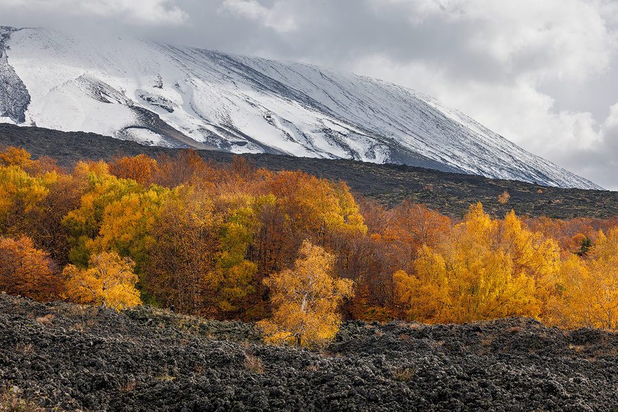 Autumn between rocks