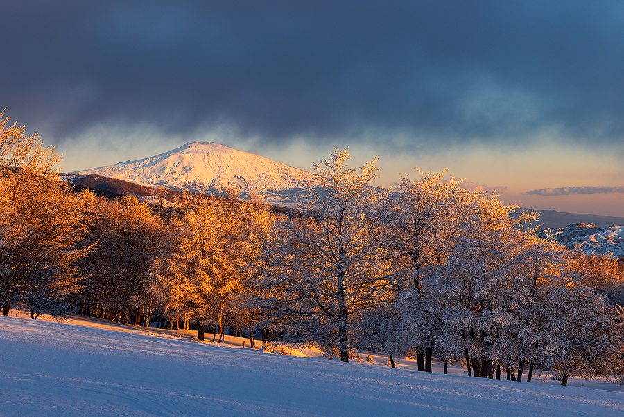 Frozen landscape