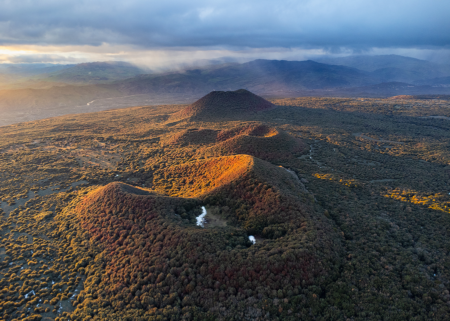 Forest and craters