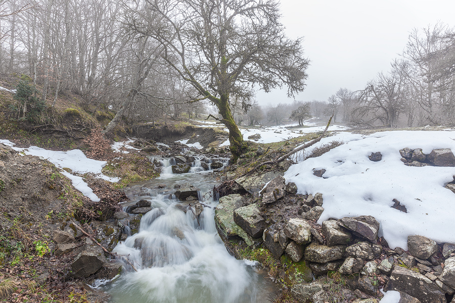 Melting snow
