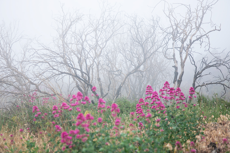 Mysterious spring