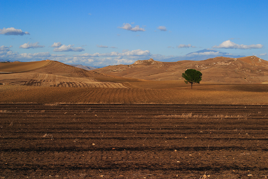 Sicily Inside
