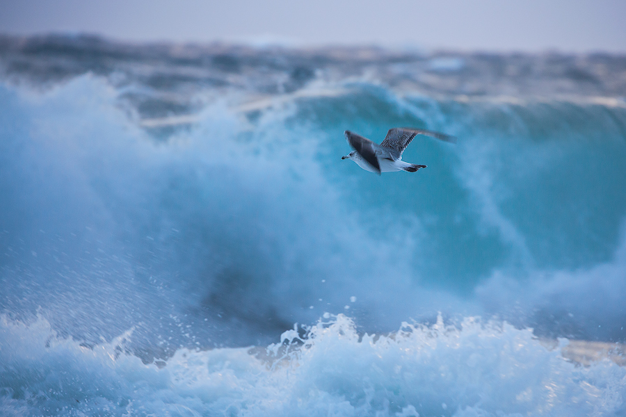 Against the storm