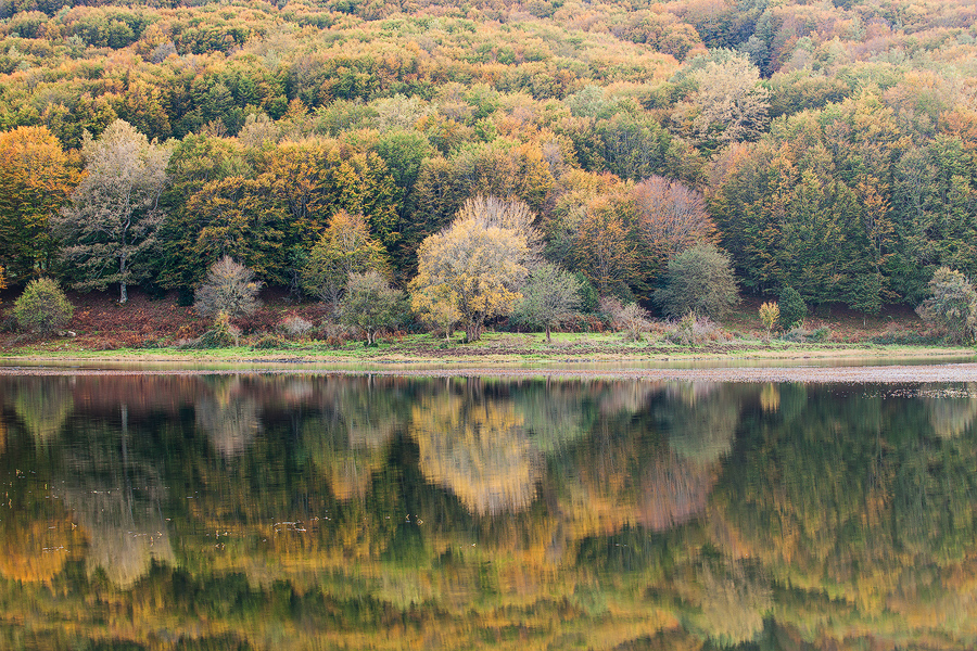 Autumn color palette