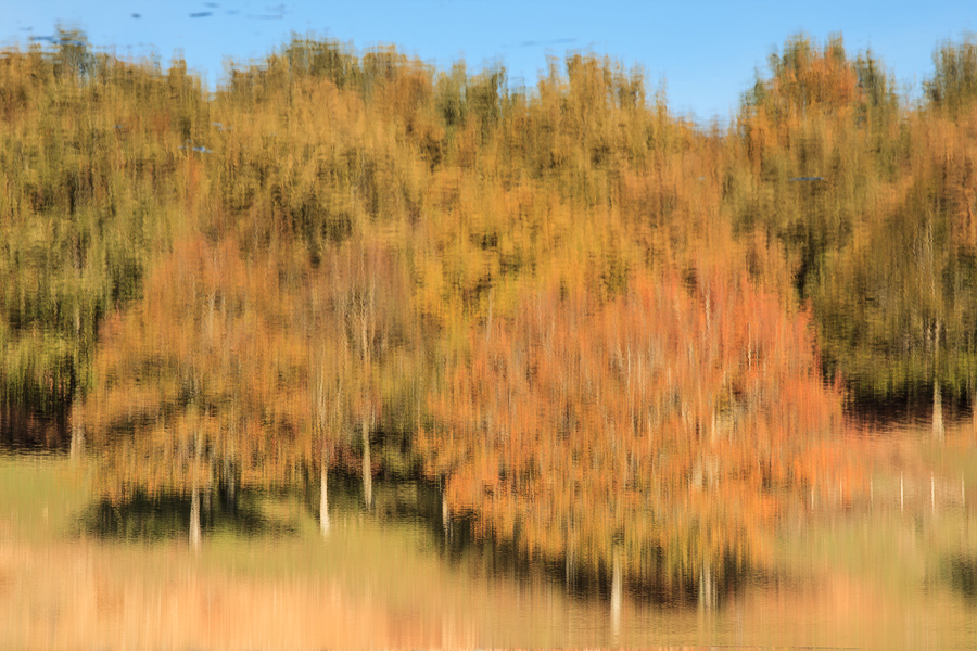 Autumn colors in the mirror