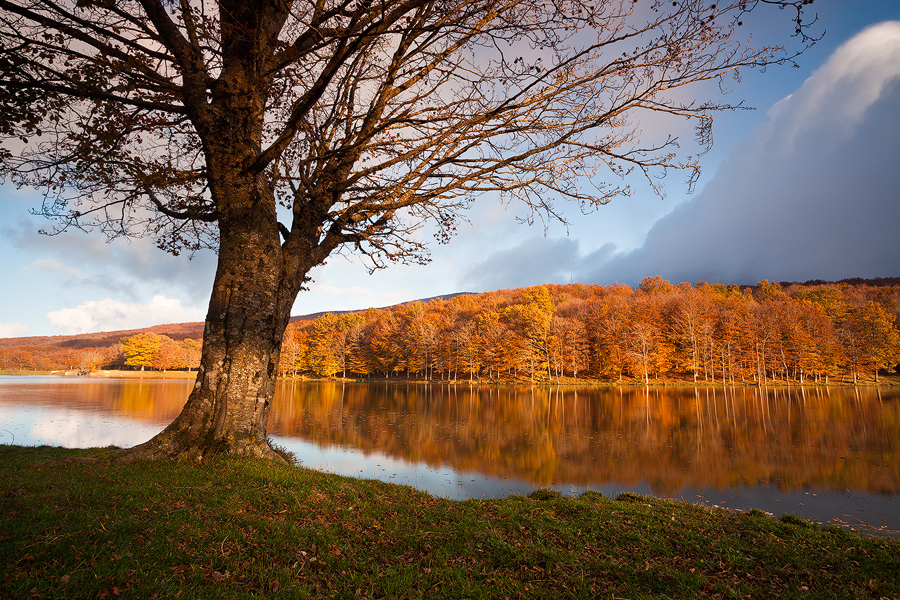 Autumn Light