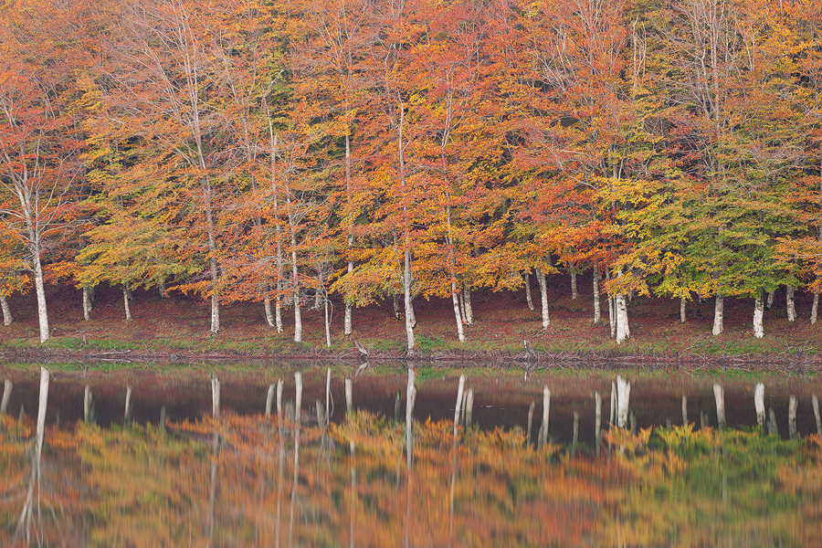 Autumn mirror