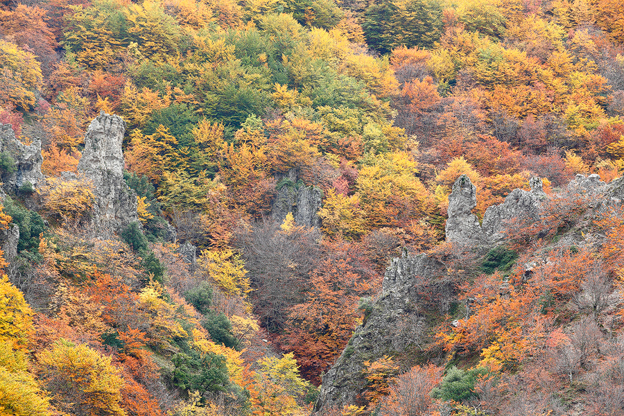 Autumn on the rocks II