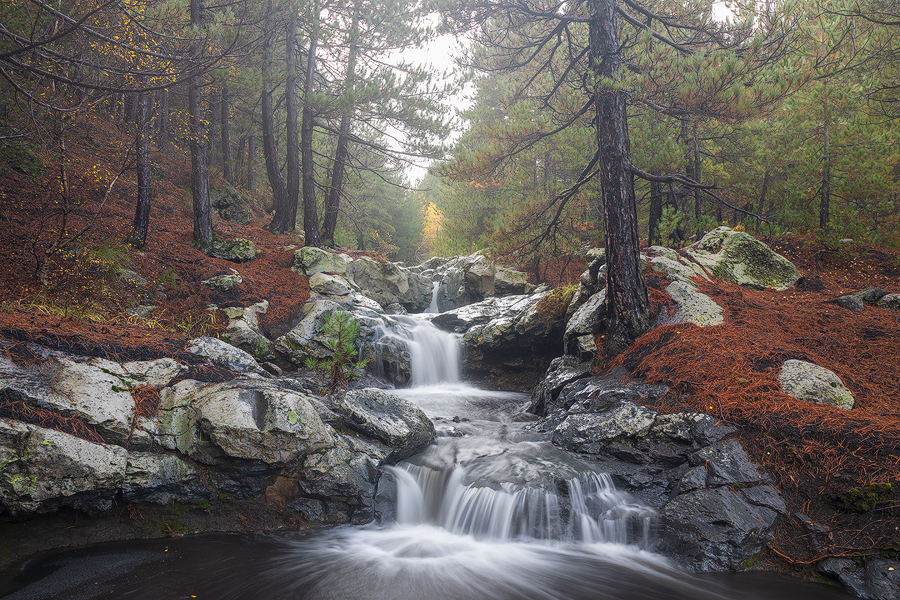 Autumn mood