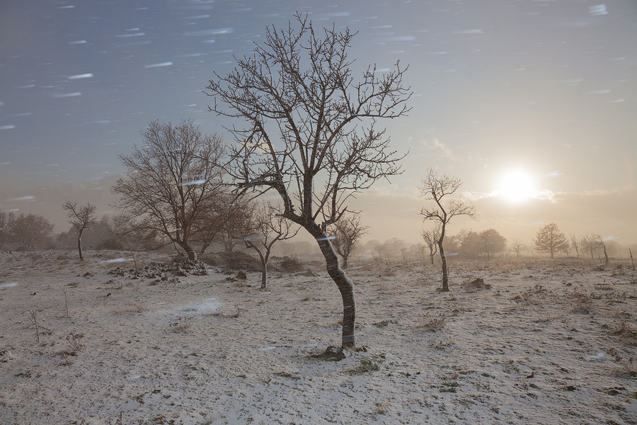 Blizzard in the sun