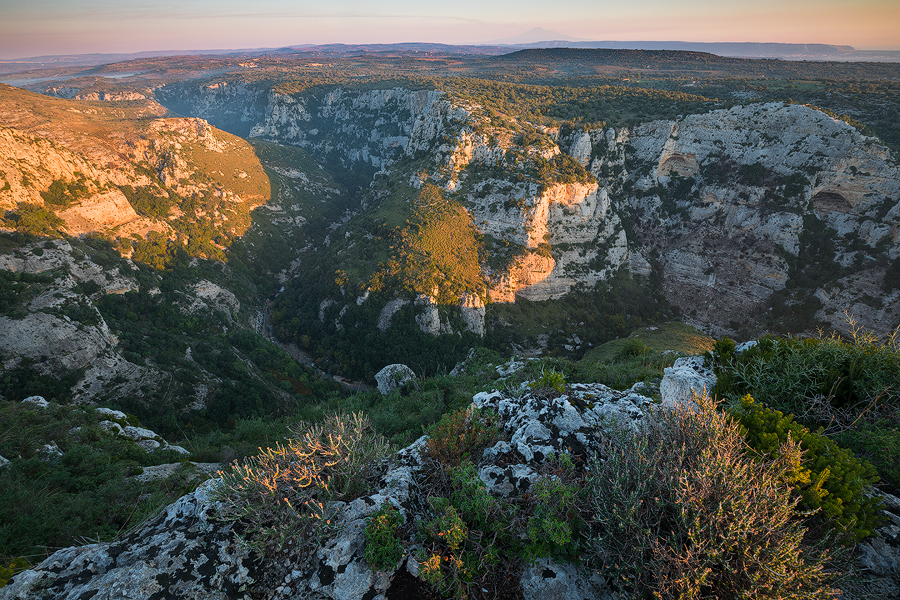 Canyon sunrise