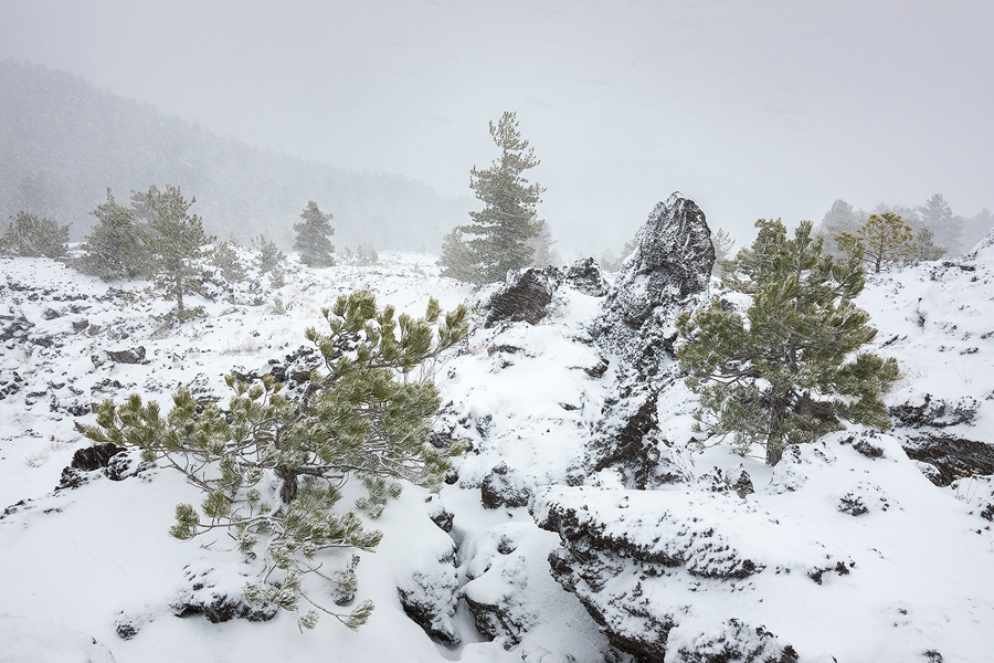 Chasing snow