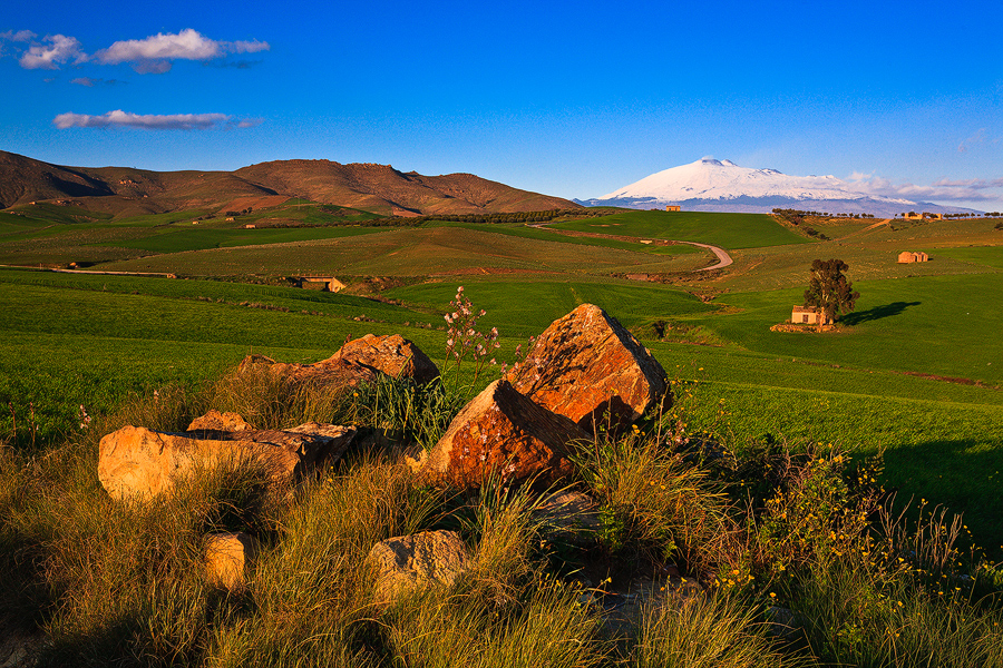 Countryside Rocks