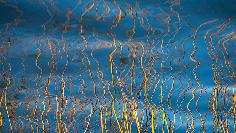 Distorsions