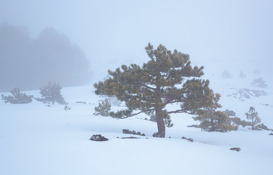 Snow and fogs