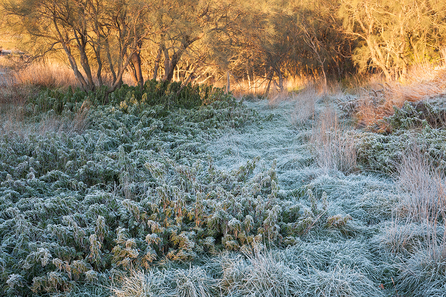 Frozen frost