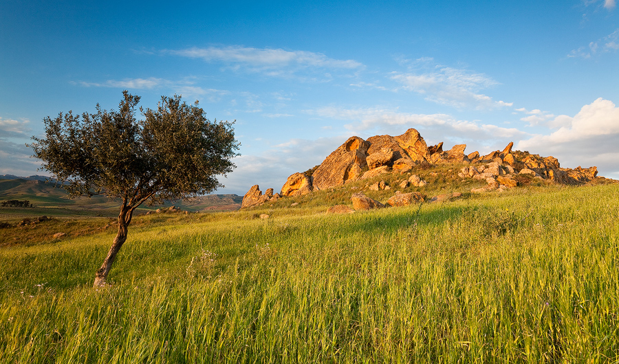 Golden Cliff