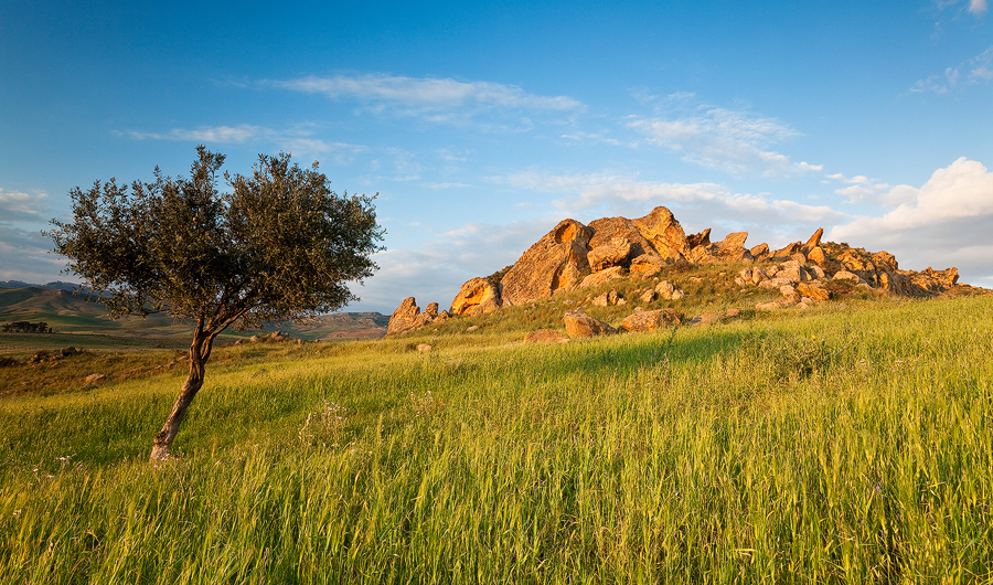 Golden Cliff