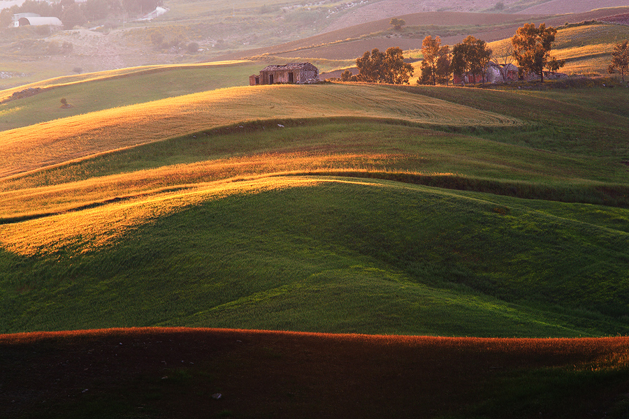 Golden Light