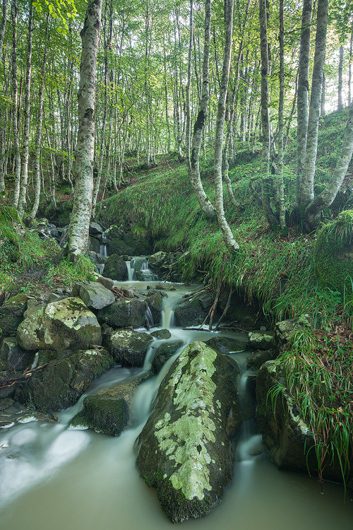 Green stream