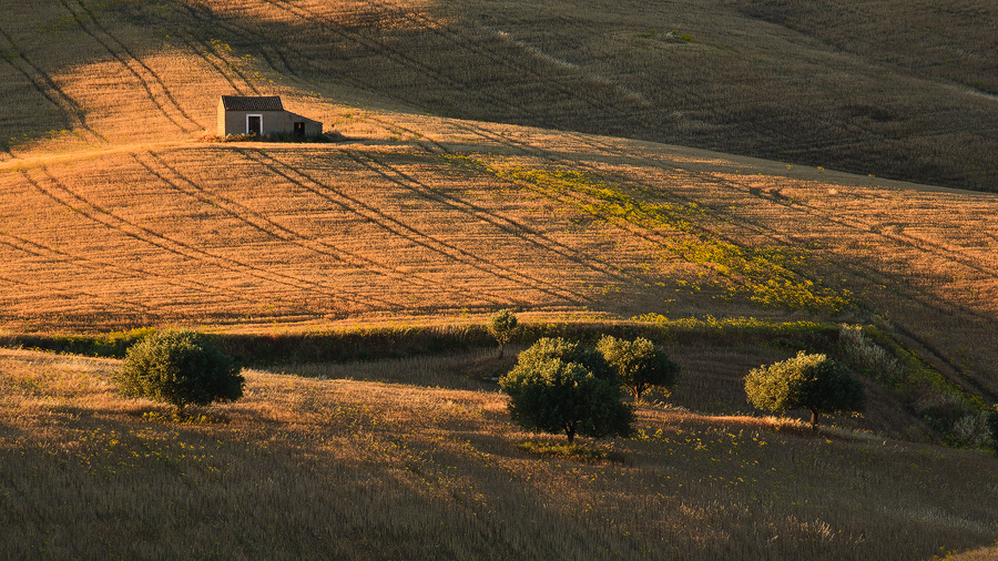 Homestead