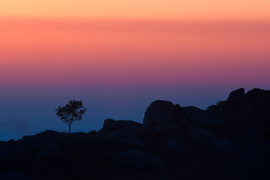 In the Dusk