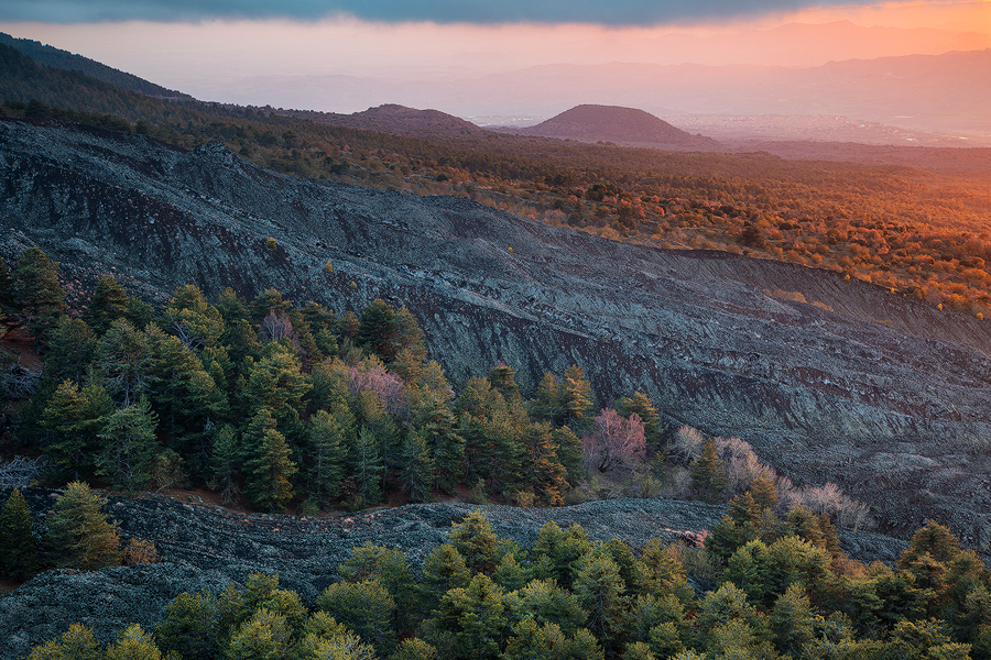 Islands of vegetation on old lava flows