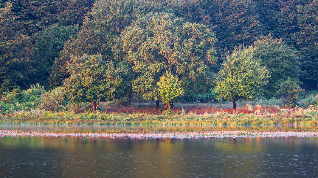 Lakeside