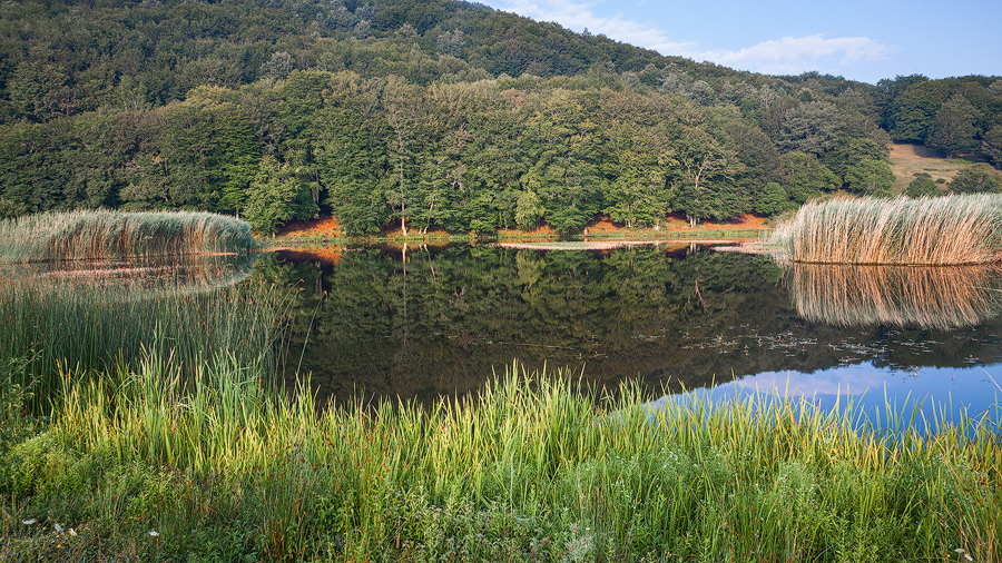 Lakeside in summer colors