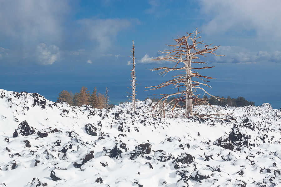 Lava fields and blue sky