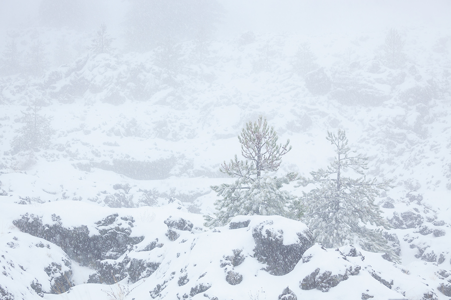 Lava rocks and snow