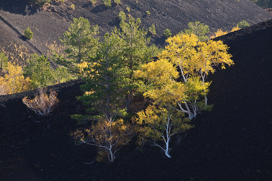 Life inside crater