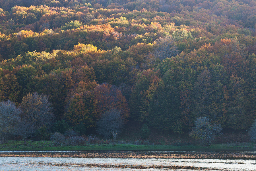 Lights and shadows on lake