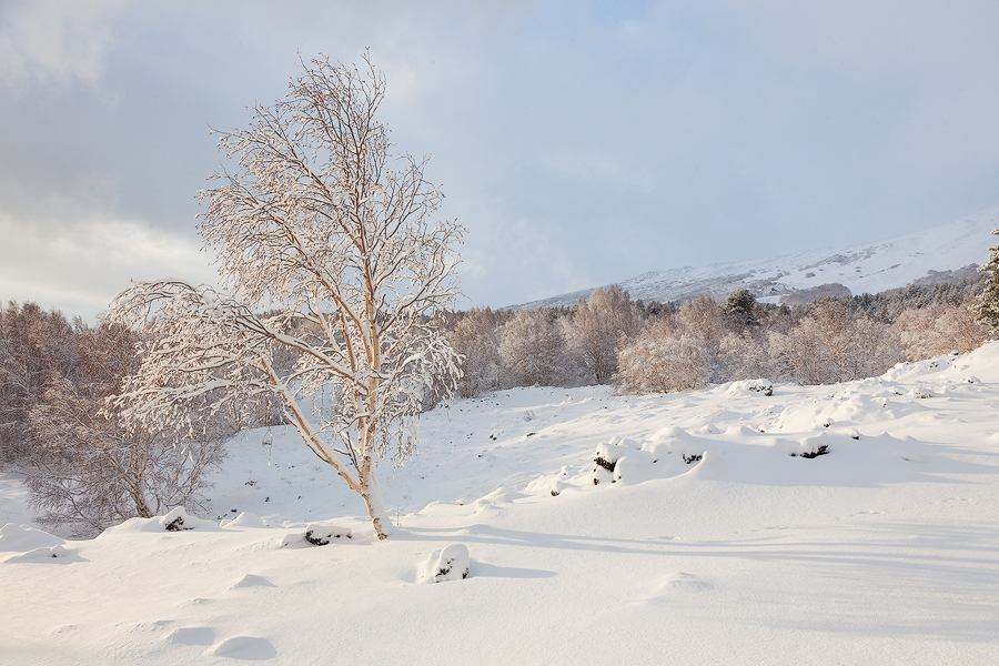 Neve al sole