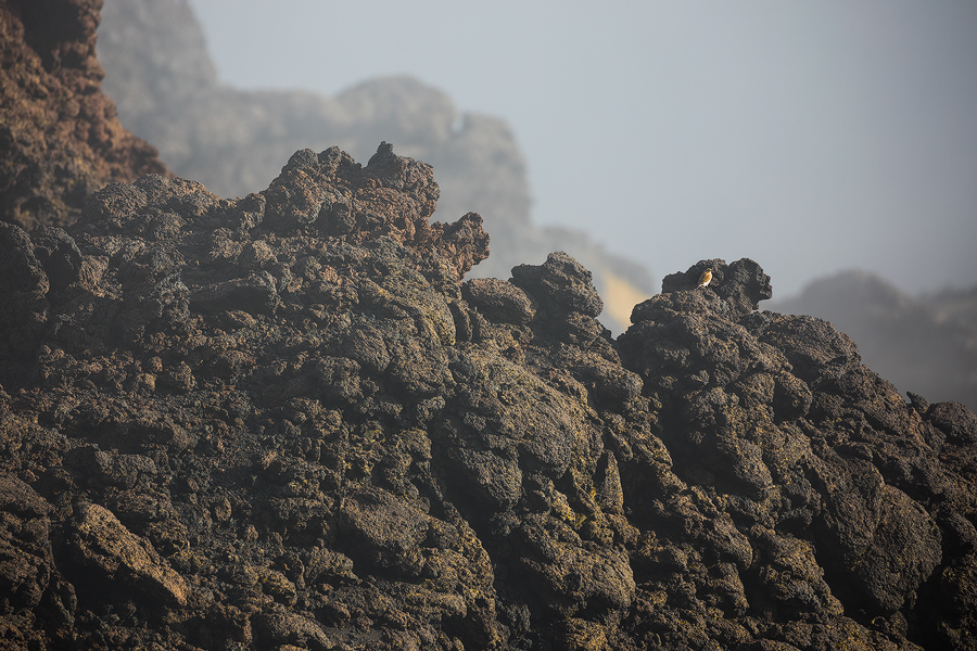 Not only lava rocks