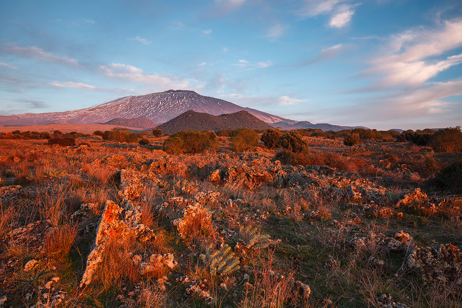 Old lava fields