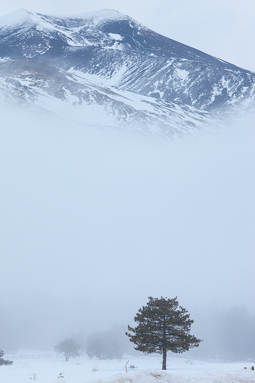 Out of the fog