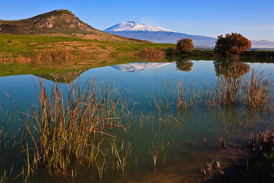Pond
