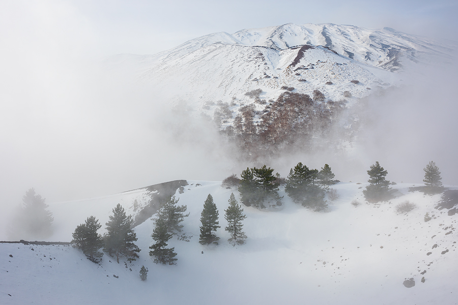 Snow e fog