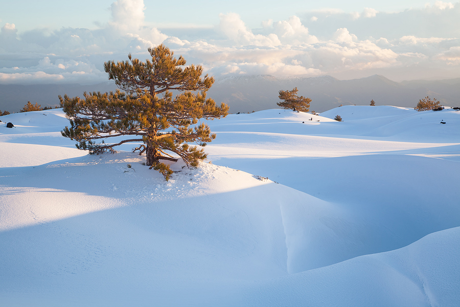 Snow dunes