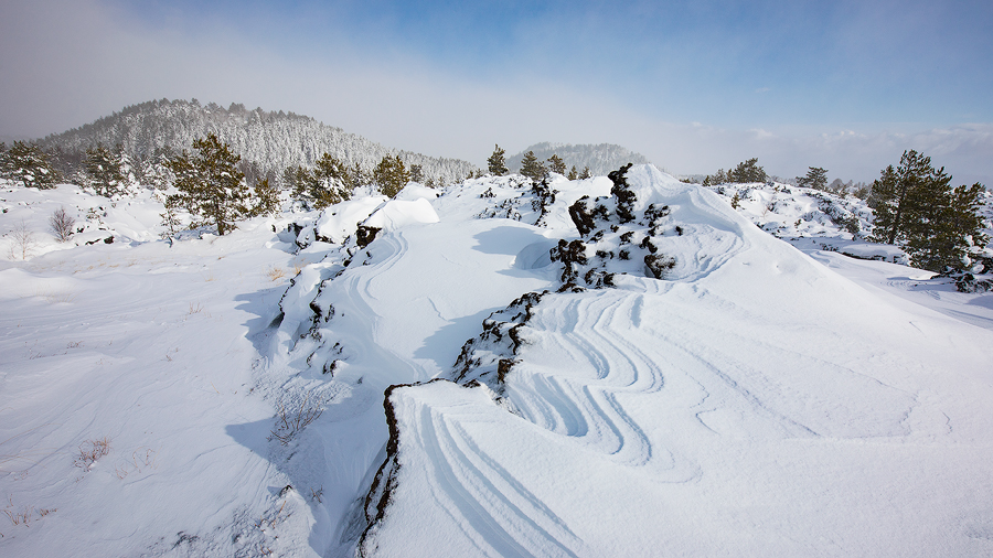 Snow wave