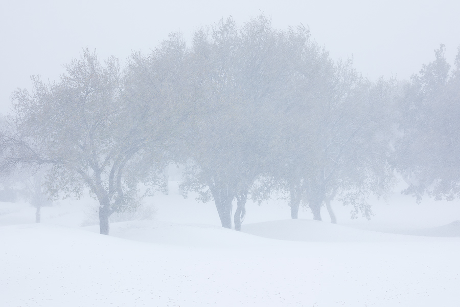 Snowy days