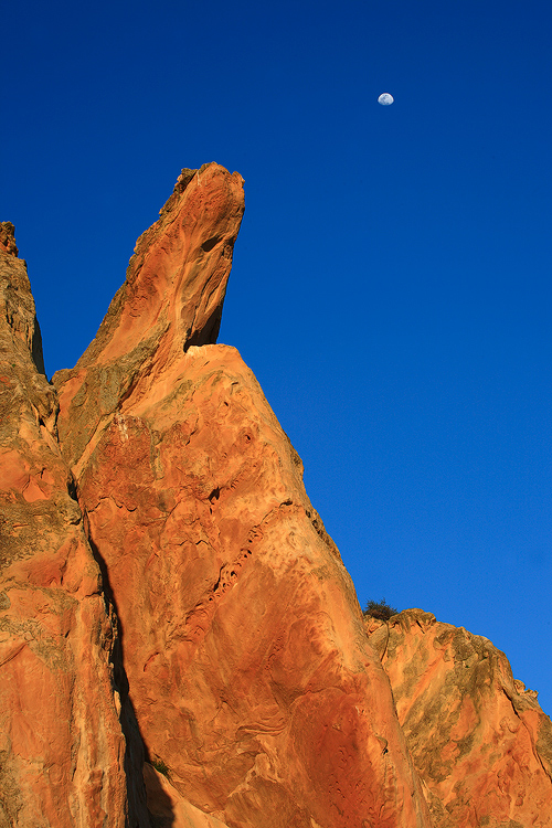 The Cliff and the Moon