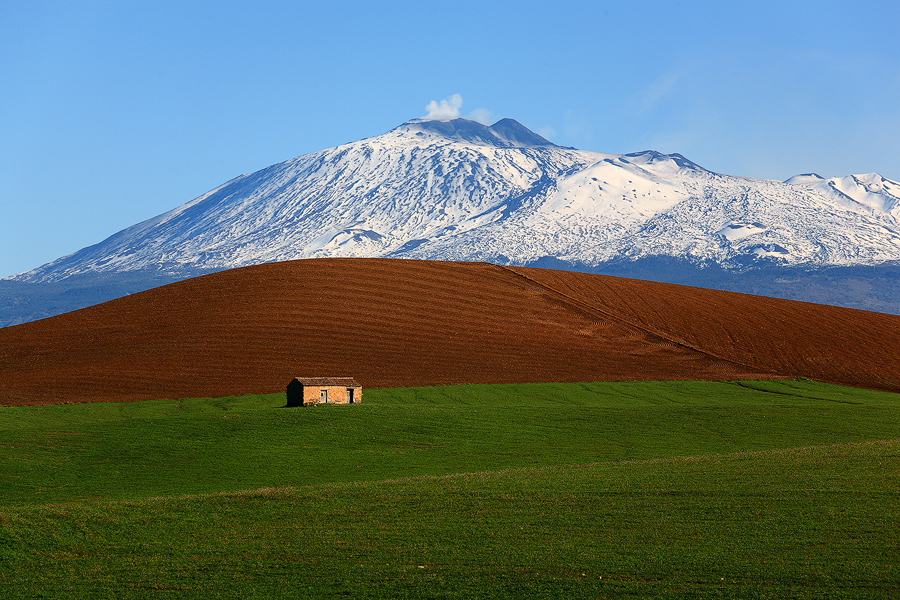 The house on the hill