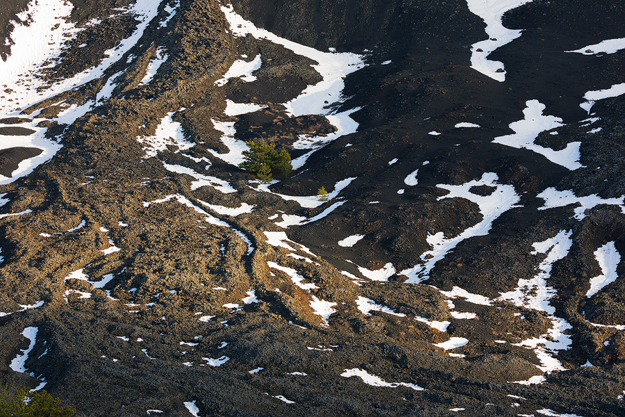 The last snow