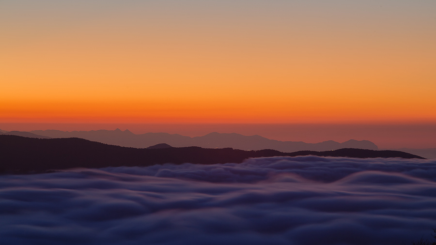 The mist seems sea