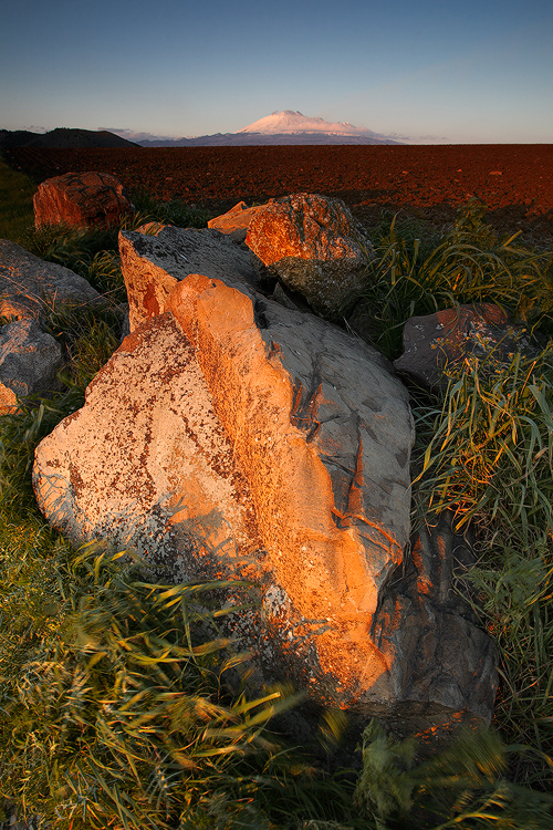 The Rock